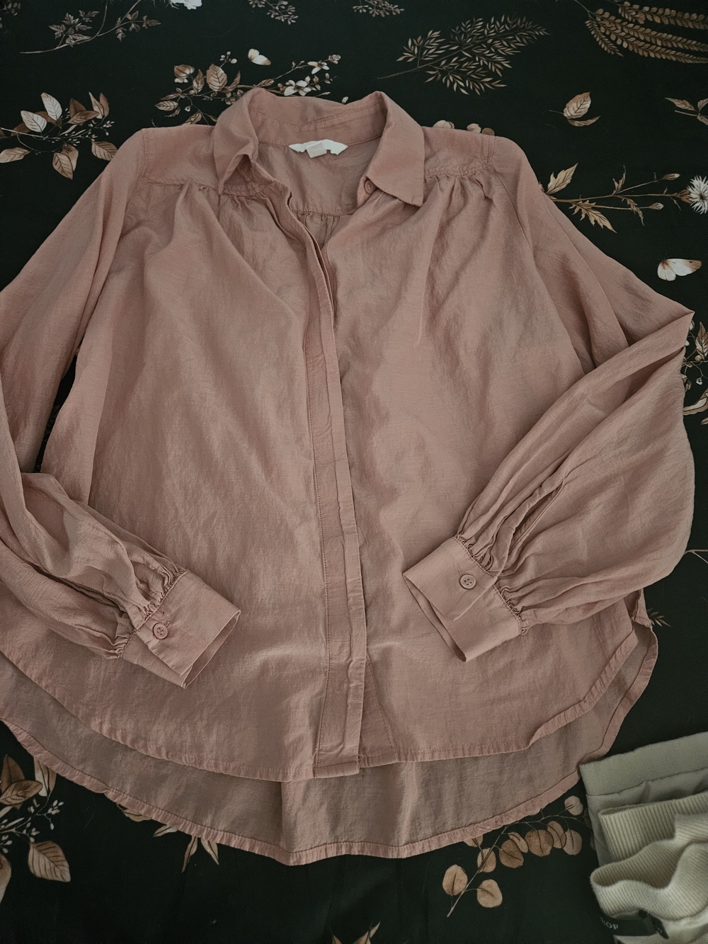 H&M Blush Pink Button-Down Blouse